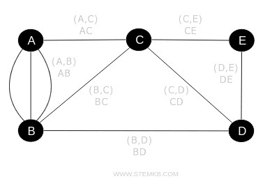 an example of a graph with multiple connections