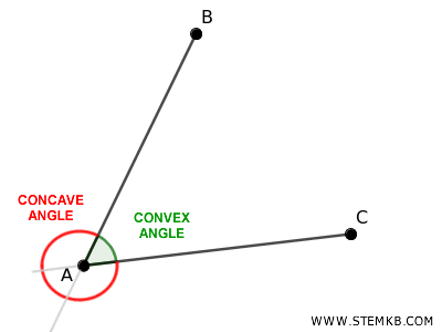 concave and convex angle