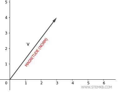 Magnitude du Vecteur