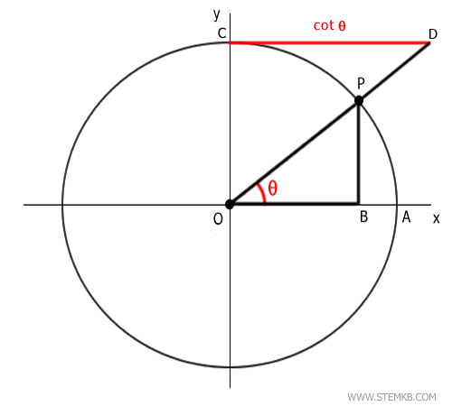the cotangent segment