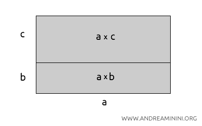 the rectangle divided into two parts