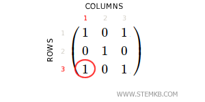 le deuxi&egrave;me &eacute;l&eacute;ment