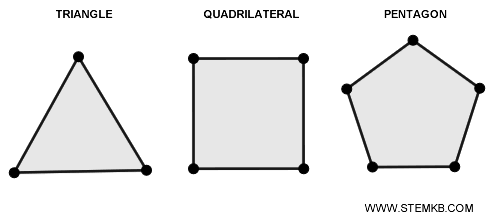 examples of polygons