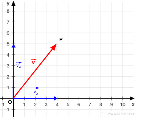 The vector's decomposition along the Cartesian axes